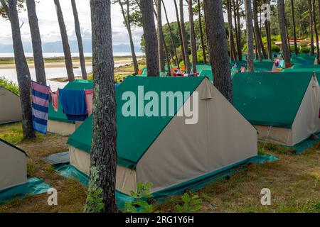 Tende in campeggio, Camping Islas Cies, Isla del Faro, Isole Cies, Galizia, Spagna Foto Stock