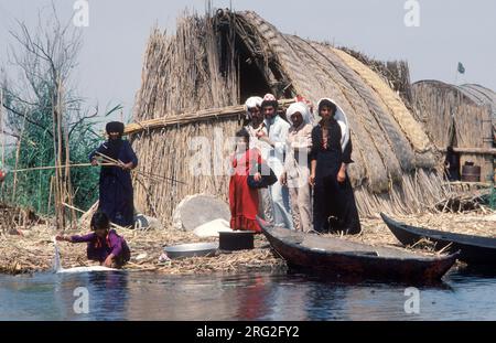 Marsh Arabs Iraq 1980 Famiglia araba palude sulla tradizionale isola di canne chiamata dibin o kibasha. Fiumi Tigri e Eufrate, paludi di Hammar. Iraq meridionale 1980s 1984 HOMER SYKES Foto Stock