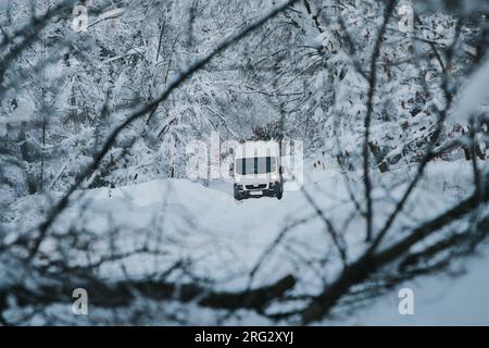 Camion bloccato sulla strada di fronte a un albero caduto Foto Stock