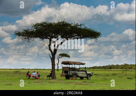 Turisti che hanno un pranzo sotto l'ombra di un albero di acacia. Masai Mara National Reserve, Kenya. Foto Stock