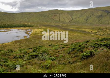 Landschap Azoren; paesaggio Azzorre Foto Stock