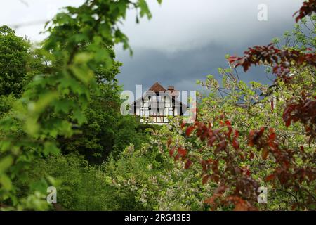 Tipico Chalet Svizzero immerso nel bosco con nuvole foggiate alle spalle. Concetto per nascondersi, fuggire, casa nel bosco, Mt Living Foto Stock