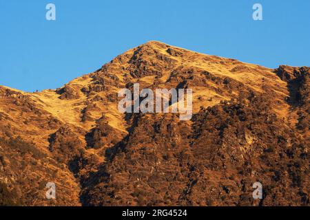 Paesaggio Himalaya. Bassa pendenza secca dell'Himalaya. Esultate l'habitat del Pheaseant. Foto Stock