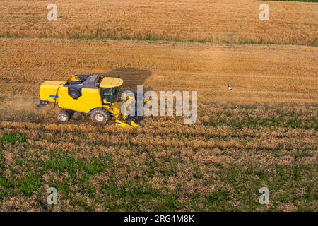 Vista aerea con droni, mietitrebbie che lavorano in campi di grano Foto Stock