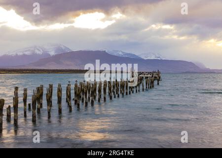 Lunga esposizione dal molo al vecchio molo di Puerto Natales con uccelli di fronte alle montagne al fiordo ultima Esperanza alla luce del Cile Foto Stock