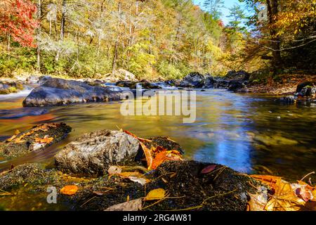 Vista panoramica del Big Laurel Creek nella Carolina del Nord in falltranq Foto Stock