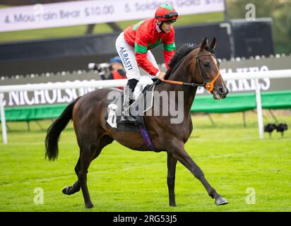 Jockey Pat Dobbs cavalca Son il giorno 1 del Qatar Goodwood Festival Meeting 2023 all'ippodromo di Goodwood, Chichester Foto Stock