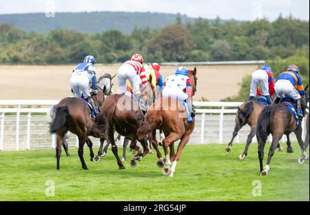 Cavalli sull'autodromo durante il 4° giorno del Qatar Goodwood Festival Meeting 2023 all'ippodromo di Goodwood, Chichester Foto Stock