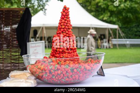 Fragole e crema gratuite regalate agli appassionati di corse durante il Qatar Goodwood Festival Meeting 2023 all'ippodromo di Goodwood, Chichester Foto Stock