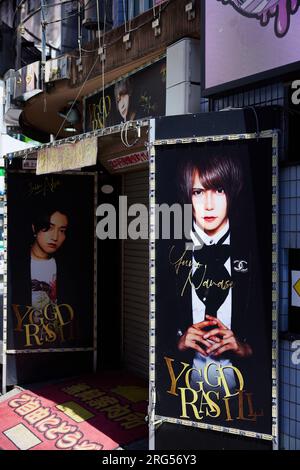 Yggdrasill, host bar a Kabukicho; Shinjuku, Tokyo, Giappone Foto Stock