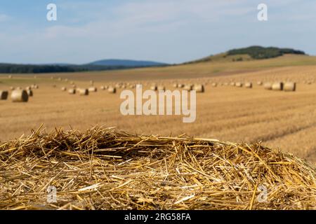 Balle di paglia al sole estivo su una collina in Ungheria Foto Stock