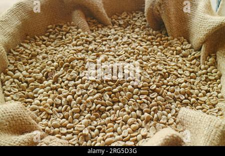 Mucchio di chicchi di caffè non tostati in un sacco grande Foto Stock