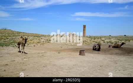 Il quartiere di Harran, situato nella città di Sanliurfa in Turchia, è una città turistica con le sue vecchie case e le antiche rovine. Foto Stock