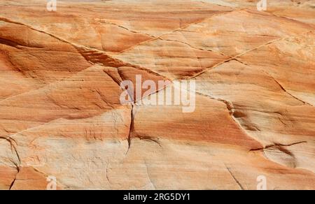 Motivo rombo in arenaria - Valley of Fire State Park, Nevada Foto Stock