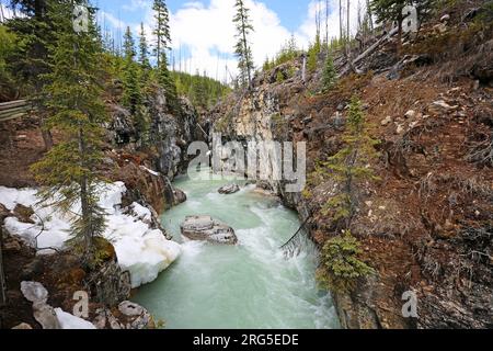 Tokumm Creek a Marble Canyon, Canada Foto Stock