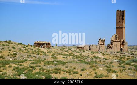 C'è una madrasa del XII secolo nelle vecchie rovine di Harran, in Turchia. È riconosciuta come la più antica università del mondo. Foto Stock