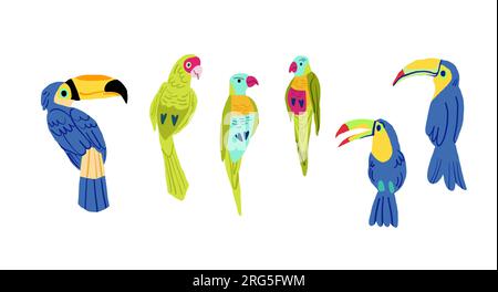 Set di icone per uccelli vettoriali con design piatto. Collezione di specie di uccelli popolari. Uccello esotico con design piatto su bianco. . Illustrazione vettoriale Illustrazione Vettoriale