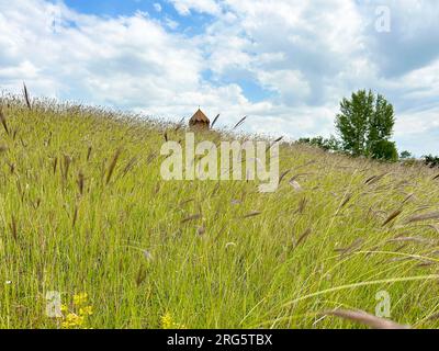 Monastero di Marmashen , villaggio di Marmashen nella provincia di Shirak in Armenia. Foto Stock