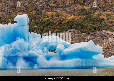 Un suggestivo iceberg blu nel Lago Grey di fronte a una montagna con vegetazione autunnale nel Parco Nazionale Torres del Paine, Cile, Patagonia Foto Stock