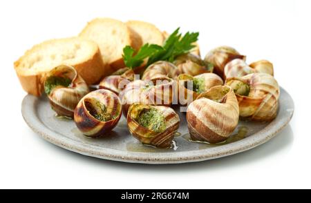 piatto di lumache di escargot al forno ripiene di prezzemolo e burro all'aglio isolato su sfondo bianco Foto Stock