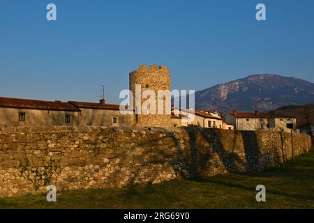 Rovine di Castra ad Fluvium Frigidum fortezza tardo romana ad Ajdovscina, Primorska, Slovenia Foto Stock