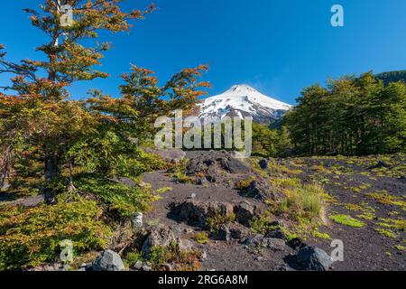 Vista della cima del vulcano villarrica dal parco nazionale villarica nella regione araucania del cile Foto Stock