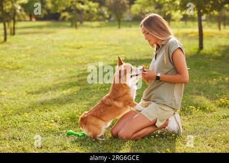 la giovane ragazza allena il corgi gallese pembroke nel parco con il tempo soleggiato, concetto di happy dog Foto Stock