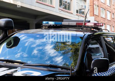 Parte del veicolo della polizia con torce elettriche Foto Stock