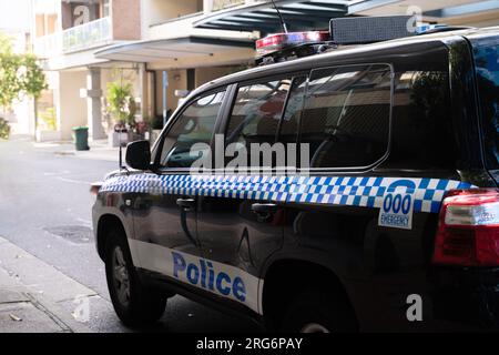 Parte del veicolo della polizia con torce elettriche Foto Stock