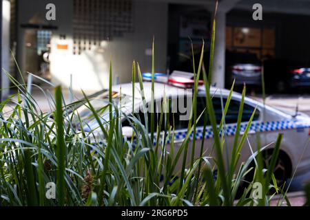 Parte del veicolo della polizia con torce elettriche Foto Stock