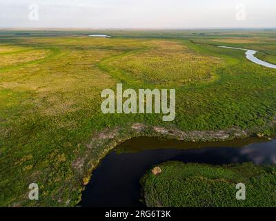 Vista aerea degli Esteros del Ibera, un'enorme palude e paradiso per gli amanti della natura e degli uccelli in Argentina, Sud America Foto Stock