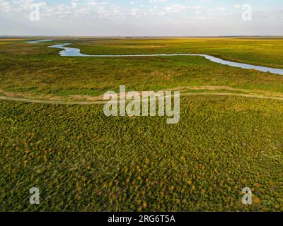 Vista aerea degli Esteros del Ibera, un'enorme palude e paradiso per gli amanti della natura e degli uccelli in Argentina, Sud America Foto Stock