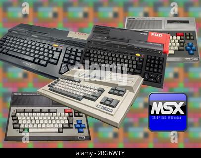 Dal 1983 al 1993 molti produttori di computer (specialmente in Giappone) adottarono uno standard chiamato MSX Foto Stock