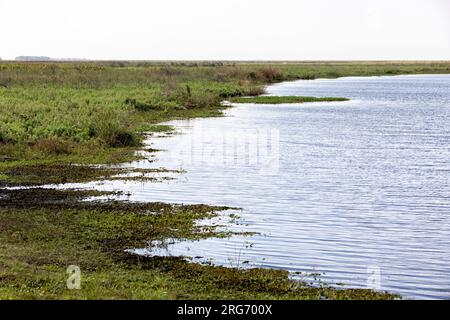 Vista panoramica degli Esteros del Ibera, una palude e paradiso per gli amanti della natura e degli uccelli in Argentina, Sud America Foto Stock