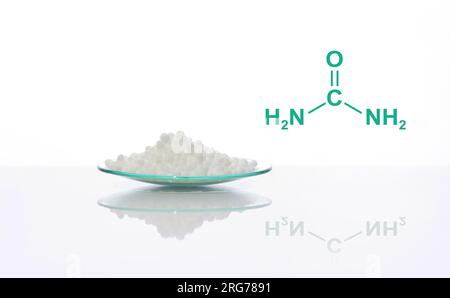 Carbammide in vetro da osservazione chimico con struttura molecolare. Ingrediente chimico utilizzato in questioni mediche e di salute pubblica. Foto Stock