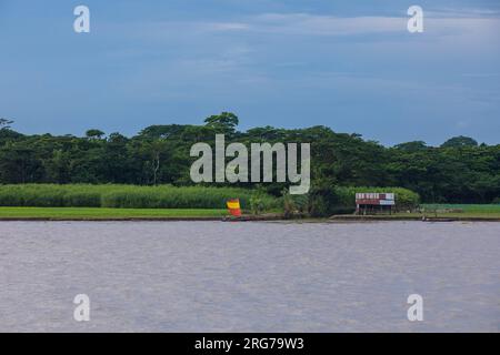 Barche a vela sul fiume Kirtonkhola in Barisal. Bangladesh. Foto Stock