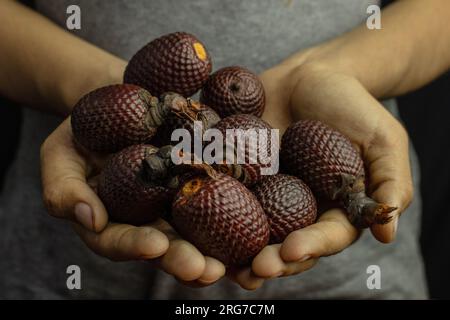 L'Aguaje è un frutto molto apprezzato in Amazzonia per il suo sapore e le sue proprietà nutrizionali Foto Stock