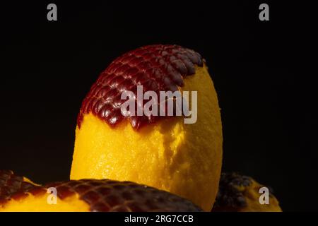 L'Aguaje è un frutto molto apprezzato in Amazzonia per il suo sapore e le sue proprietà nutrizionali Foto Stock