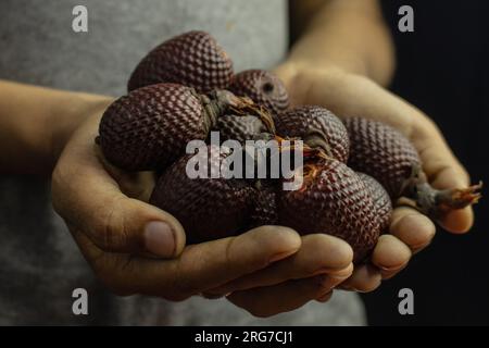 L'Aguaje è un frutto molto apprezzato in Amazzonia per il suo sapore e le sue proprietà nutrizionali Foto Stock