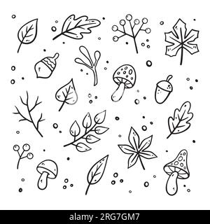 Set di elementi di design autunnali. Illustrazione floreale vettoriale. Raccolta foglie autunnali. Elementi autunnali: Ghianda, mela, foglie, bacche. Design piatto, stile doodle. Illustrazione Vettoriale