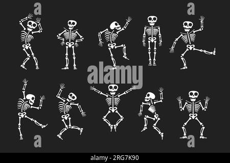 Scheletri danzanti con diverse posizioni piatto stile disegno vettore set di illustrazione. Ballo divertente Halloween o Day of the Dead Skeletons collezione. Illustrazione Vettoriale