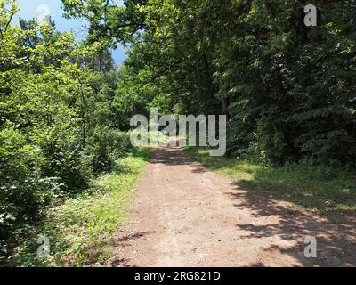 Białowieża (Provincia di Podlasie, Repubblica di Polonia) Foto Stock