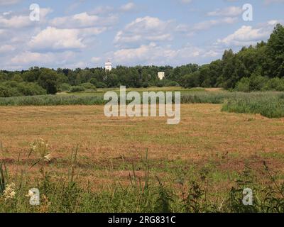 Białowieża (Provincia di Podlasie, Repubblica di Polonia) Foto Stock