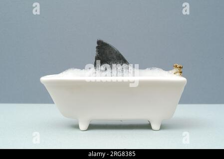 immagine divertente, allarmante e snervante di uno squalo che fa il bagno in un bagno giocattolo pieno di bolle. bagno in miniatura e pinna di squalo. Foto Stock
