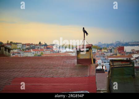 Vista panoramica dei tetti nel quartiere di Uskudar sul lato asiatico di Istanbul, Turchia Foto Stock