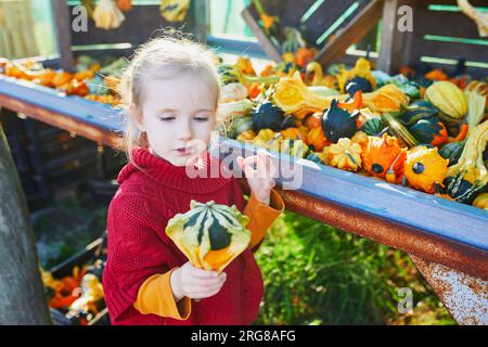 Adorabile bambina in età prescolare che seleziona varie zucche decorative al mercato agricolo per Halloween. Bambini che esplorano la natura. Attività autunnali per sma Foto Stock