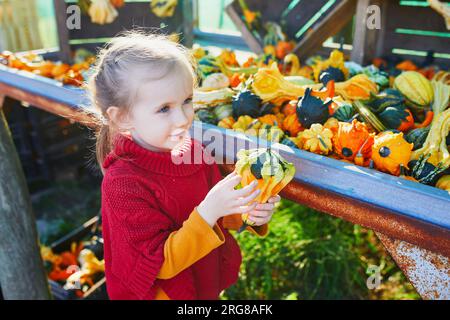 Adorabile bambina in età prescolare che seleziona varie zucche decorative al mercato agricolo per Halloween. Bambini che esplorano la natura. Attività autunnali per sma Foto Stock