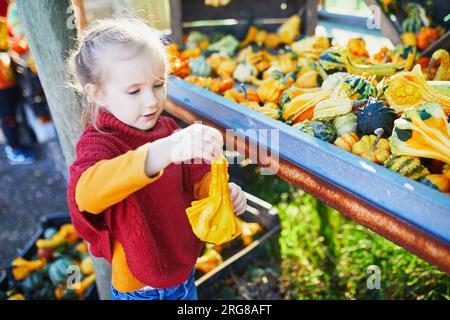 Adorabile bambina in età prescolare che seleziona varie zucche decorative al mercato agricolo per Halloween. Bambini che esplorano la natura. Attività autunnali per sma Foto Stock