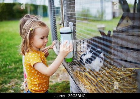 Adorabile bambina che dà da mangiare al coniglio alla fattoria. Bambino che si familiarizza con gli animali. Agricoltura e giardinaggio per bambini piccoli. Attività estive all'aperto Foto Stock