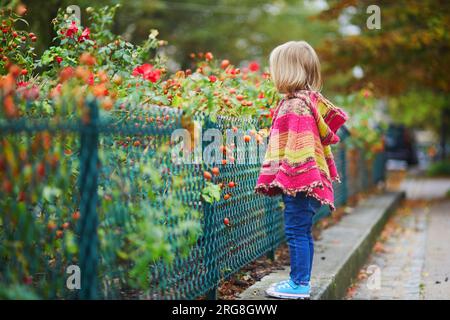 Adorabile bambina che cammina nel parco in un giorno autunnale a Parigi, Francia. Bambini che si divertono all'aria aperta in autunno. Abiti autunnali eleganti e comodi per i bambini Foto Stock